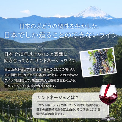 ワイン サントネージュワインが贈る ソーヴィニヨンブラン 甲州樽熟 白ワイン 2本 セット【1285337】