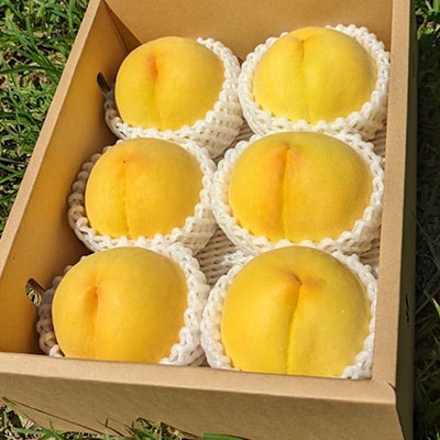 【ふるさと納税】2026年発送 山梨県山梨市産 黄桃 黄金桃 約2kg 5玉〜8玉【配送不可地域：離島】【1328634】