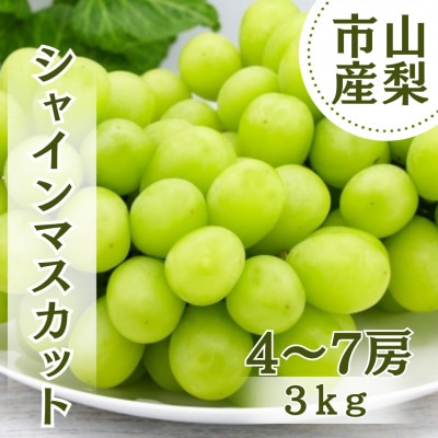 【2026年先行受付】やみつきシャインマスカット 3kg(4〜7房)【配送不可地域：離島】【1689782】