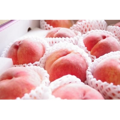 ã2026幎å
è¡åä»ãå³éž!山梚åžç£ æ¡ çŽ1.5kg(4ã7ç)ãé
éäžå¯å°åïŒé¢å³¶ãã1305782ã