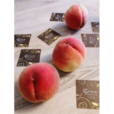 【5年連続TV出演達成】今、最も熱視線を注がれる『樹上完熟ブランド桃』2026年9月上旬より発送【配送不可地域：離島・北海道・沖縄県・中国・四国・九州】【1704745】