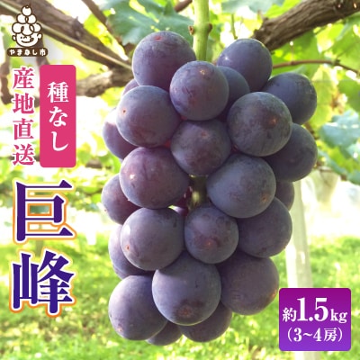 2026年先行受付銀河農園まきおか 巨峰 約1.5kg (3〜4房)【配送不可地域：離島】【1111660】