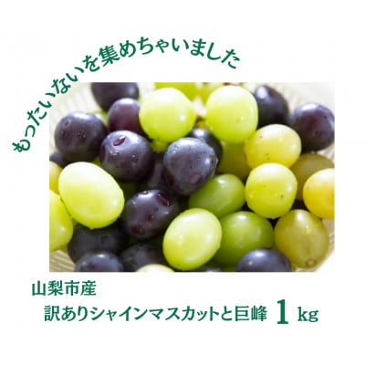 【2026年先行受付】訳あり カット シャインマスカット カット 巨峰 計1kg【配送不可地域：離島・沖縄県】【1703898】