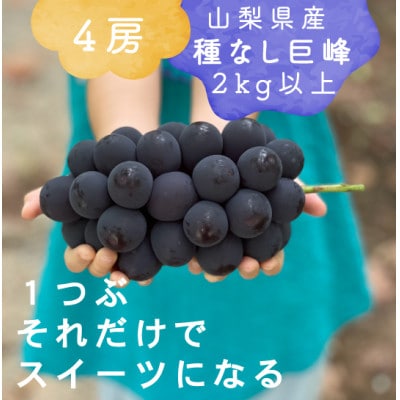 【2026年発送分先行受付】巨峰ぶどう(種なし) 2kg 以上 産地直送 山梨県山梨市牧丘産【配送不可地域：離島・沖縄県】【1535988】