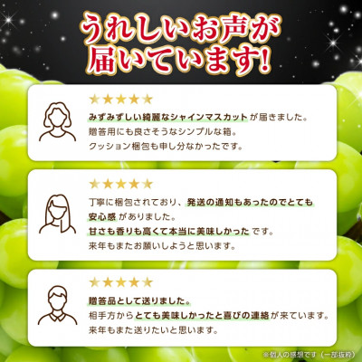2026年度先行予約 フルーツ王国山梨 シャインマスカット 2房 (1.2kg以上) プレミアム【配送不可地域：離島】【1105033】
