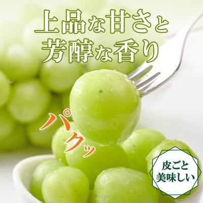 〈2026年発送〉果汁あふれるジューシーな「山梨市産 シャインマスカット 1房 約700g」【配送不可地域：離島】【1513031】