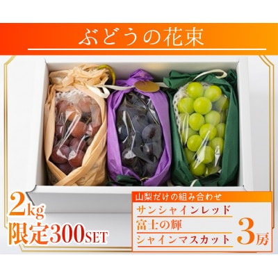 【2026年先行予約】サンシャインレッド 富士の輝 シャインマスカット 2kg 3房(各1房)【配送不可地域：離島】【1694811】