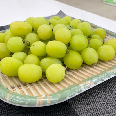 【2026年発送】【訳あり】山梨市産シャインマスカットつぶつぶ 1kg【配送不可地域：離島・沖縄県】【1697582】