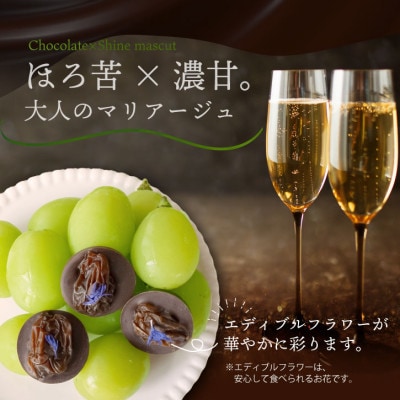シャインマスカットレーズンのチョコレートマンディアン 10個入 山梨県産シャインマスカット使用【1697053】