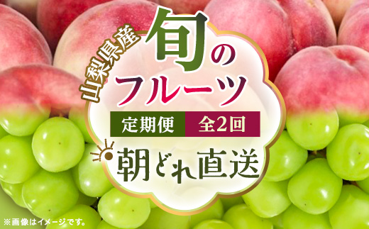 【発送月固定定期便】【2026年先行受付】旬のフルーツ定期便　桃2kg・シャインマスカット全2回【配送不可地域：離島・沖縄県】【4076701】