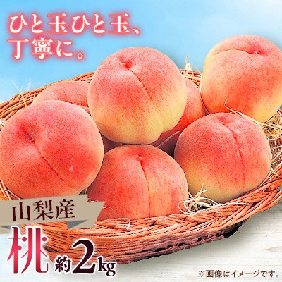 ã2026幎çºéã山梚åžç£ãæ¡ãçŽ2kgãé
éäžå¯å°åïŒé¢å³¶ãã1465104ã