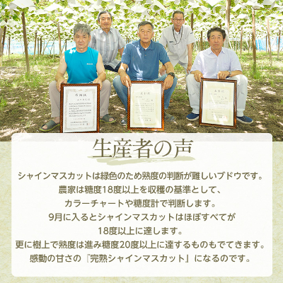 【2026年先行受付】完熟 シャインマスカット 2房 (1kg以上) 世界農業遺産認定地特産【配送不可地域：離島】【1117448】