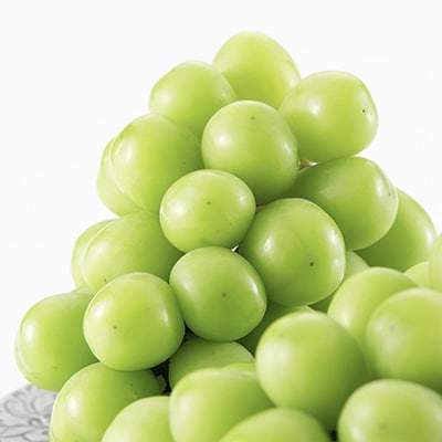 ã2026幎å
è¡åä»ã山梚åžç£ã·ã£ã€ã³ãã¹ã«ãã(å ) 2kg以äž(3ã4æ¿)ãé
éäžå¯å°åïŒé¢å³¶ãã1483157ã