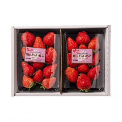 山梨県産坂の上のいちご280g×2【配送不可地域：離島】【1367897】