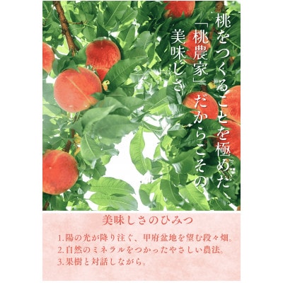 å
è¡åä»!ã2026幎7æçºééå§ãæ¡ã®ç£å°å±±æ¢šãããå±ããããŒãå°ç§ã€ãã·ã¿ã®æ¡ã3kgãé
éäžå¯å°åïŒé¢å³¶ãã1707806ã