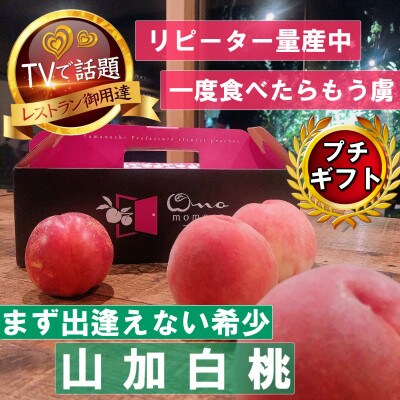 【まず出逢えない気品高い山加白桃】人気品種指定ギフト5年連続TV出演話題ブランド2026年7月下旬〜【配送不可地域：離島・北海道・沖縄県・中国・四国・九州】【1465316】