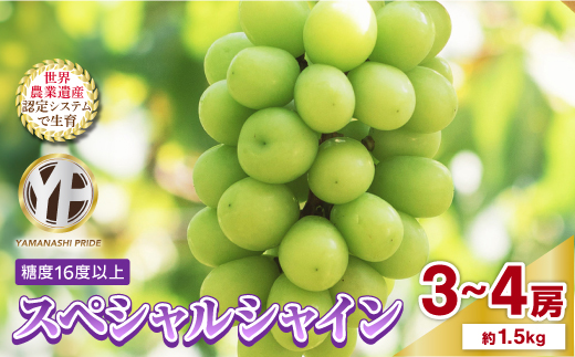 2026年度先行予約 フルーツ王国山梨産厳選 シャインマスカット 3〜4房(約1.5kg)【配送不可地域：離島】【1501767】