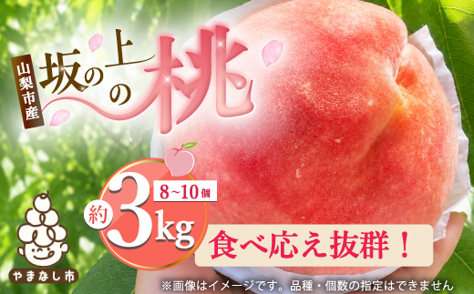 2026年発送【旬の桃8〜10玉 約3kg】坂の上の桃 硬くて甘い!食べ応え抜群!山梨県山梨市産【配送不可地域：離島】【1264619】