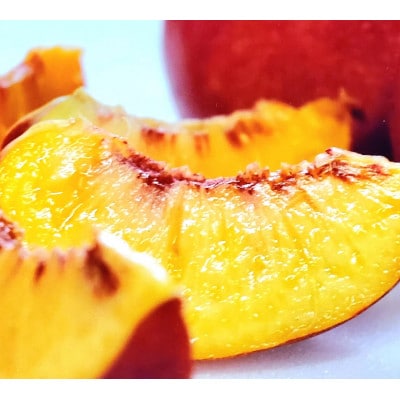 ãèŽãç©ã«åã°ãããæé«ç³åºŠ25床æ¯é¡ãªã絶察ç³åºŠã·ã£ããŒãã¯ã¿ãªã³2026幎7æäžæ¬ããçºéãé
éäžå¯å°åïŒé¢å³¶ã»åæµ·éã»æ²çžçã»äžåœã»ååœã»ä¹å·ãã1468767ã