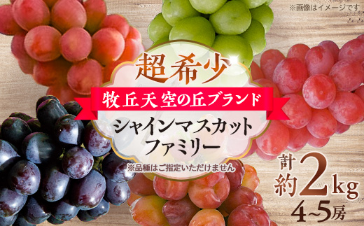 【2026年先行受付】超希少　牧丘天空の丘ブランド「シャインマスカットファミリーバラエティーセット」【配送不可地域：離島】【1708288】