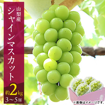 【2026年発送 先行受付】山梨市 シャインマスカット(約2kg)3〜5房入り 化粧箱入り【配送不可地域：離島・沖縄県】【1484816】