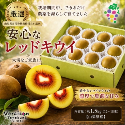 【2026発送】レッドキウイフルーツ約1.5kg(12〜18玉)山梨県産糖度18度以上農家直送【配送不可地域：離島】【1178165】