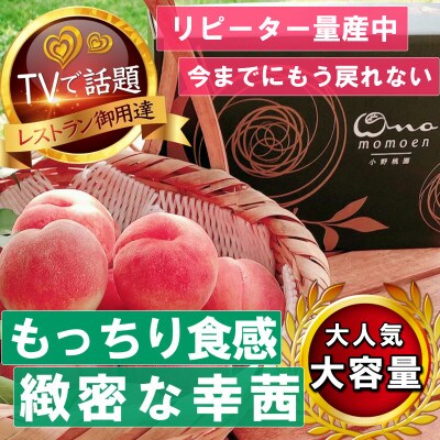 《もっちりカリカリ不思議な幸茜》人気品種指定ギフト5年連続TV出演話題ブランド2026年8月中旬発送【配送不可地域：離島・北海道・沖縄県・中国・四国・九州】【1465332】