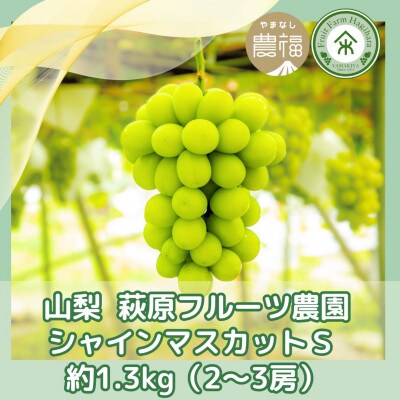【2026年先行予約】山梨・萩原フルーツ農園のシャインマスカット S(約1.3kg 2〜3房)【配送不可地域：離島】【1559301】