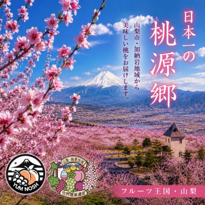 ã山梚ç山梚åžç£ãå çŽå²©ã®æ¡ æ¬ã®ããŸãã 2kg(6ç)èŽççš ãäžç蟲æ¥éºç£å°åãããå±ãããé
éäžå¯å°åïŒé¢å³¶ã»æ²çžçãã1739294ã