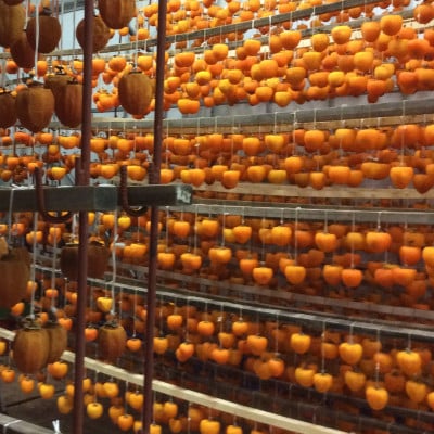 å¬ã®éèãæ¯é²æ¿ãã1å·ç®±(çŽ1.4kgã12ã20åå
¥)ã1017354ã