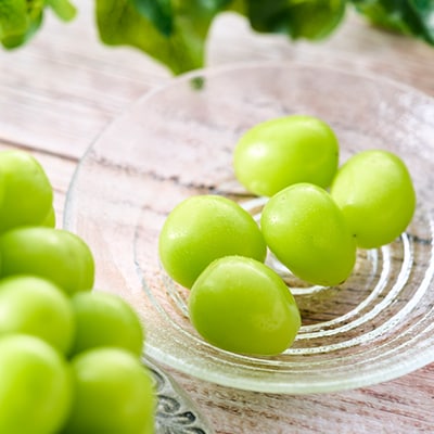 縲2026蟷エ逋コ騾√蜈郁。悟女莉倥代d縺ソ縺、縺阪す繝」繧、繝ウ繝槭せ繧ォ繝繝 1.2kg (2縲3謌ソ)縲宣埼∽ク榊庄蝨ー蝓滂シ夐屬蟲カ縲代1304362縲