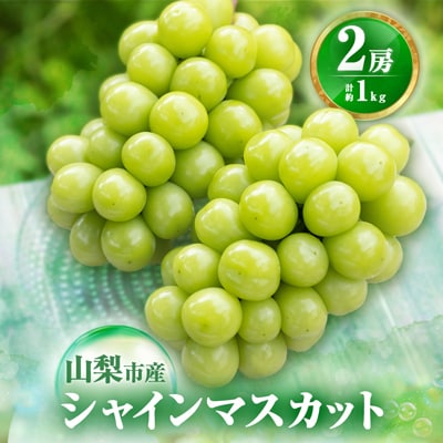 ã2026幎çºé å
è¡åä»ã蟲çŠé£æº ã·ã£ã€ã³ãã¹ã«ãã2æ¿(åèš1kgçšåºŠ)ãé
éäžå¯å°åïŒé¢å³¶ãã1271031ã