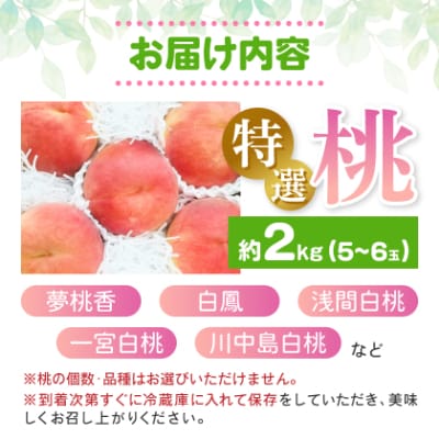 ã2026çºéäºå®ã蟲家çŽéæã©ãæ¡!倧ãããŠçãç¹éžæ¡5ã6çå
¥ã山梚åžç£å°çŽéçŽ2kgç®±ãé
éäžå¯å°åïŒé¢å³¶ãã1178161ã