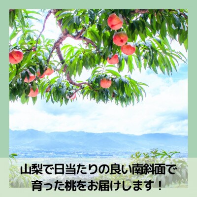 【2026年先行予約】山梨・萩原フルーツ農園の白桃　S (約1.3kg/3〜5個)【配送不可地域：離島】【1477609】