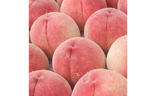 2026幎çºé 山梚åžç£ èš³ããæ¡ çŽ2kg(4ã8ç)ãé
éäžå¯å°åïŒé¢å³¶ãã1688049ã