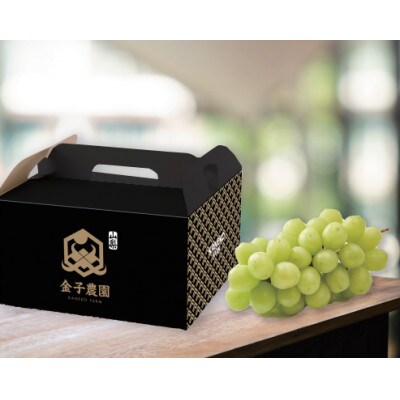 【本場の旬を堪能】本場山梨の甲州戦国シャインマスカットお試し2026年9月下旬より発送【配送不可地域：離島】【1497105】