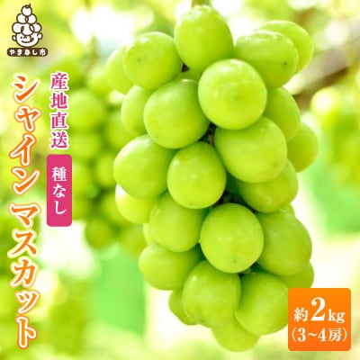 2026年先行販売　銀河農園まきおか シャインマスカット 約2.0kg (3〜4房)【配送不可地域：離島】【1111663】