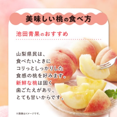 【2026年発送】 桃 約2kg (5玉~8玉) 厳選 ! 池田青果の もも【配送不可地域：離島・沖縄県】【1280520】