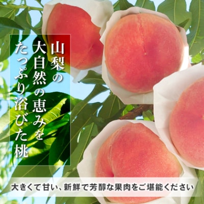 ã2026çºéäºå®ã蟲家çŽéæã©ãæ¡!倧ãããŠçãç¹éžæ¡5ã6çå
¥ã山梚åžç£å°çŽéçŽ2kgç®±ãé
éäžå¯å°åïŒé¢å³¶ãã1178161ã