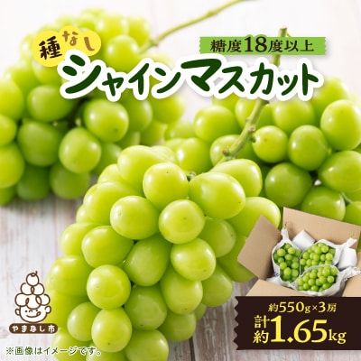 ã2026幎å
è¡åä»ã山梚åžç£ãã·ã£ã€ã³ãã¹ã«ãã(çš®ãªã)ã çŽ1.65kg (çŽ550gÃ3æ¿)ãé
éäžå¯å°åïŒé¢å³¶ã»æ²çžçãã1117302ã