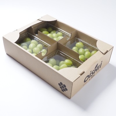 【先行受付2026年発送】 シャインマスカット 粒 約1.2kg 【訳あり】ぶどう 粒カット【配送不可地域：離島・沖縄県】【1568100】