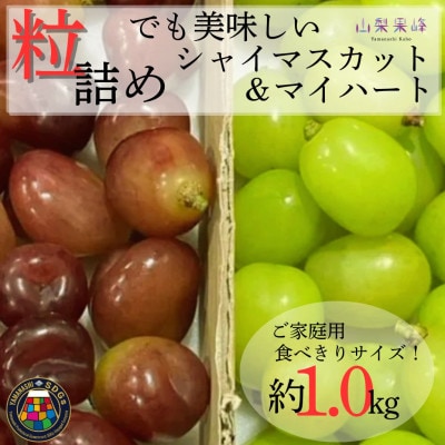 【2026年度発送】SDGs粒シャインマスカット&マイハート1kg相当【配送不可地域：離島・北海道・沖縄県・中国・四国・九州】【1752129】