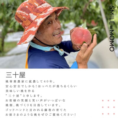 「2026年先行受付」三十屋木熟桃 【1.5kg】【配送不可地域：離島】【1515509】