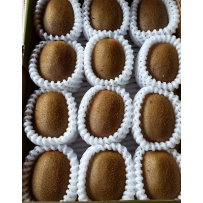 ããŠã€ãã«ãŒã(ãã€ã¯ãŒã)çŽ2kgã1178154ã