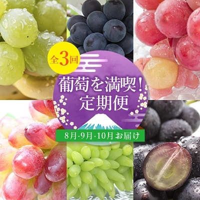 【発送月固定定期便】葡萄好きさん、集まれ〜!人気のフルーツぶどうの定期便全3回【配送不可地域：離島・沖縄県】【4005030】