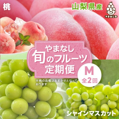 【発送月固定定期便】やまなし旬のフルーツ定期便(桃・シャインマスカット)【M】全2回【配送不可地域：離島】【4077909】