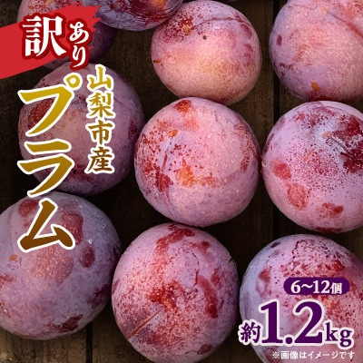 【先行受付】訳ありプラム(すもも) 約1.2kg(6〜12個)【配送不可地域：離島】【1714479】
