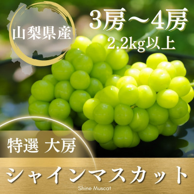 ã2026幎çºé å
è¡åä»ããã«ãŒãçåœå±±æ¢šçç£ã·ã£ã€ã³ãã¹ã«ãã 3æ¿ã4æ¿ 2.2kg以äžãé
éäžå¯å°åïŒé¢å³¶ãã1362278ã