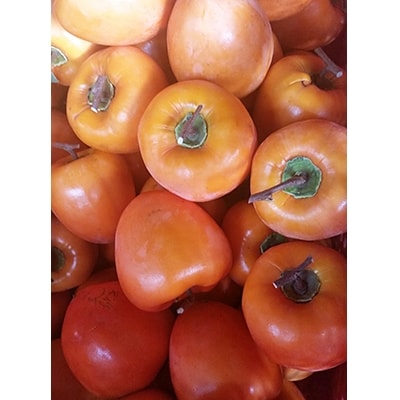 【甲州銘菓数量限定】手作り甲州百目枯露柿12〜20個2号化粧箱入り【配送不可地域：離島】【1178155】