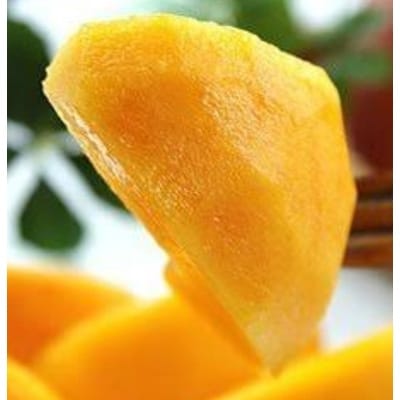 【2026発送予定】黄金桃　農家朝どり直送特選桃　4〜6玉入り　2kg以上【配送不可地域：離島】【1178166】